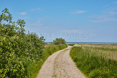 Buy stock photo Dirt road, path and green grass in the countryside for travel, agriculture or natural environment. Landscape of lush plant growth, greenery or farm highway with blue sky for sustainability in nature