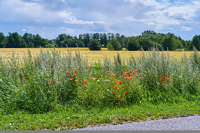 Buy stock photo Images from the Kingdom of Denmark