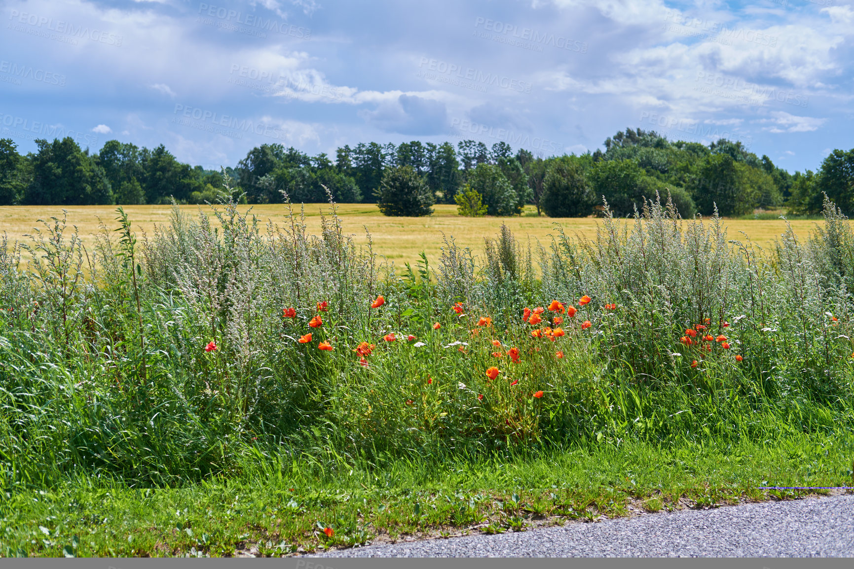 Buy stock photo Images from the Kingdom of Denmark