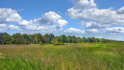 Buy stock photo Images from the Kingdom of Denmark