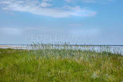 Buy stock photo Land, beach and green grass with sea, blue sky and clouds on horizon for travel on island. Outdoor, nature or ocean water for tourism, vacation or holiday by shore with lawn in environment in Denmark