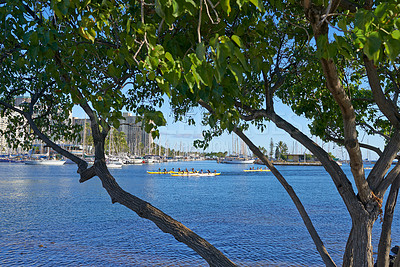 Buy stock photo Tree, boats and ocean view for tourism, city environment and people rowing on vacation in Hawaii. Outdoor, sustainable scenery and tropical island with urban development, eco friendly and sea water