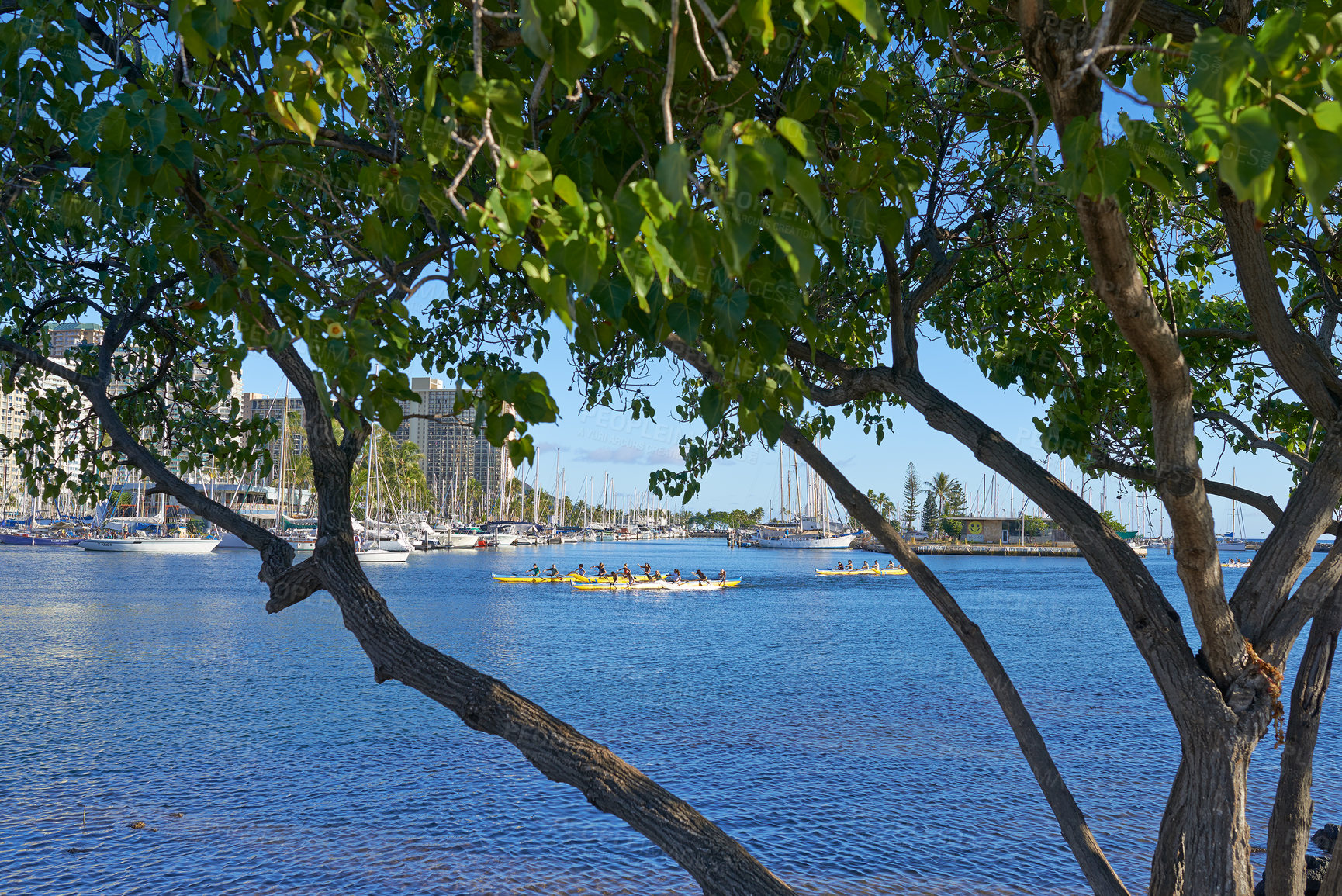 Buy stock photo Images from Oahu - The state of Hawaii.