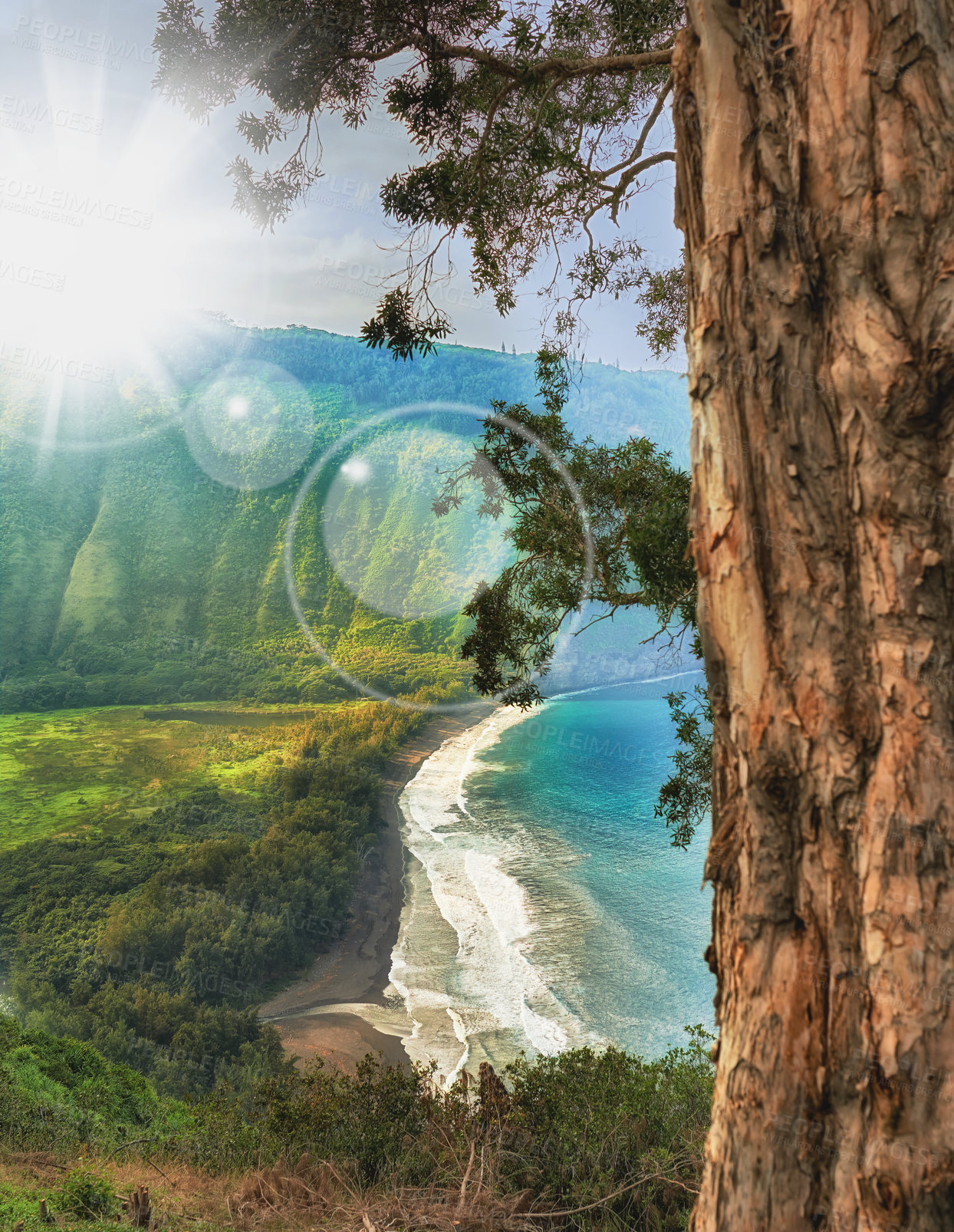 Buy stock photo Forest, ocean view and trees for peace in nature, sustainable environment and trip to tropical island. Travel, sun flare and mountain for calm on vacation in Hawaii, eco friendly woods and bokeh