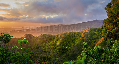 Buy stock photo Forest, sunrise and trees for peace in nature, sustainable environment and oxygen production on trip. Travel, dawn and mountain green for calm on vacation in Hawaii, eco friendly woods and relaxing