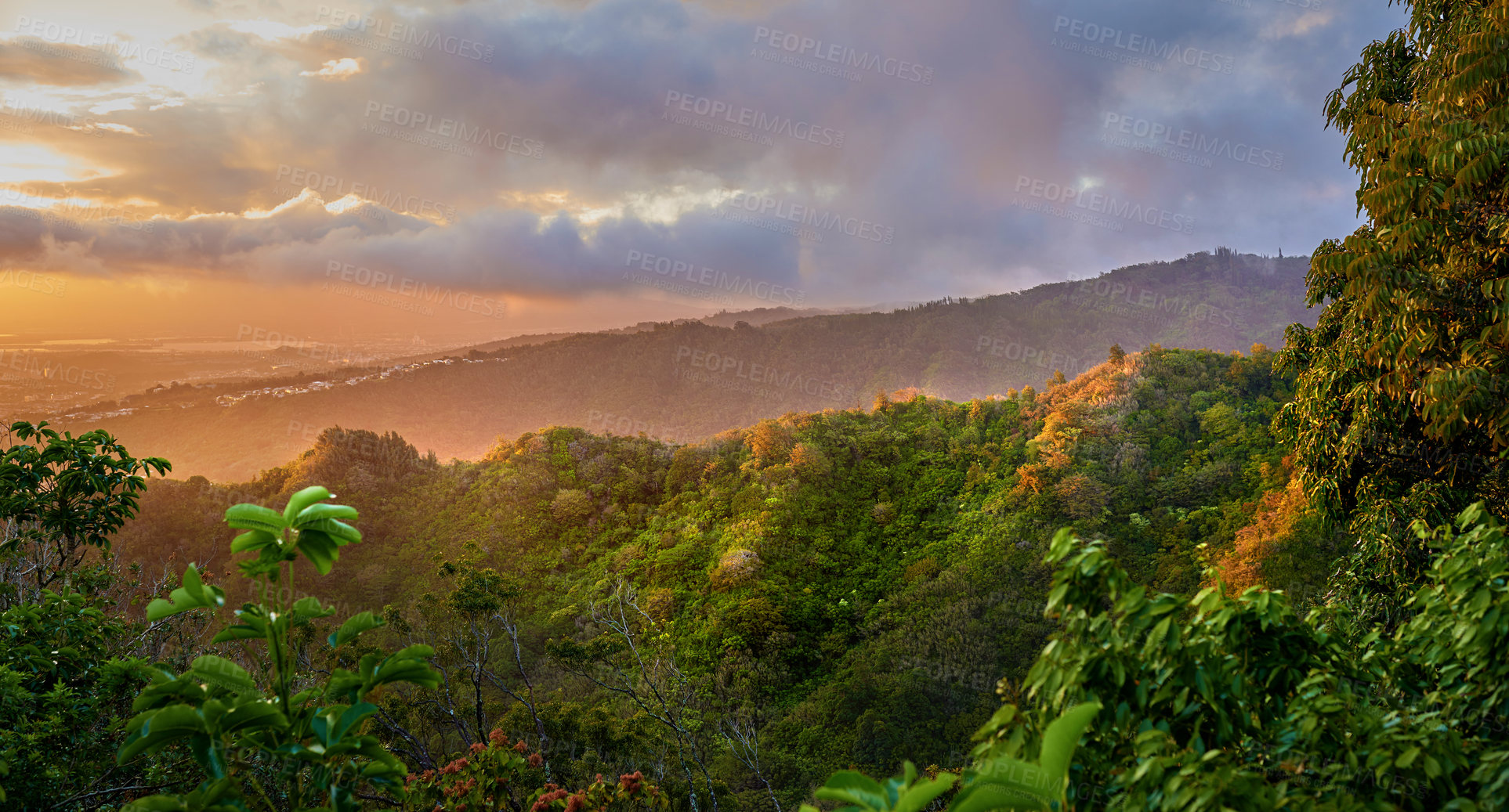 Buy stock photo Forest, sunrise and trees for peace in nature, sustainable environment and oxygen production on trip. Travel, dawn and mountain green for calm on vacation in Hawaii, eco friendly woods and relaxing