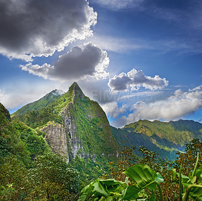 Buy stock photo Jungle, landscape and plants with clouds in sky for travel destination, sightseeing scenery or holiday location. Woods background, hill and eco friendly environment in countryside for vacation trip