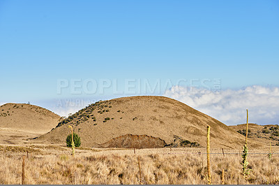 Buy stock photo Wilderness of the State of Hawaii, USA