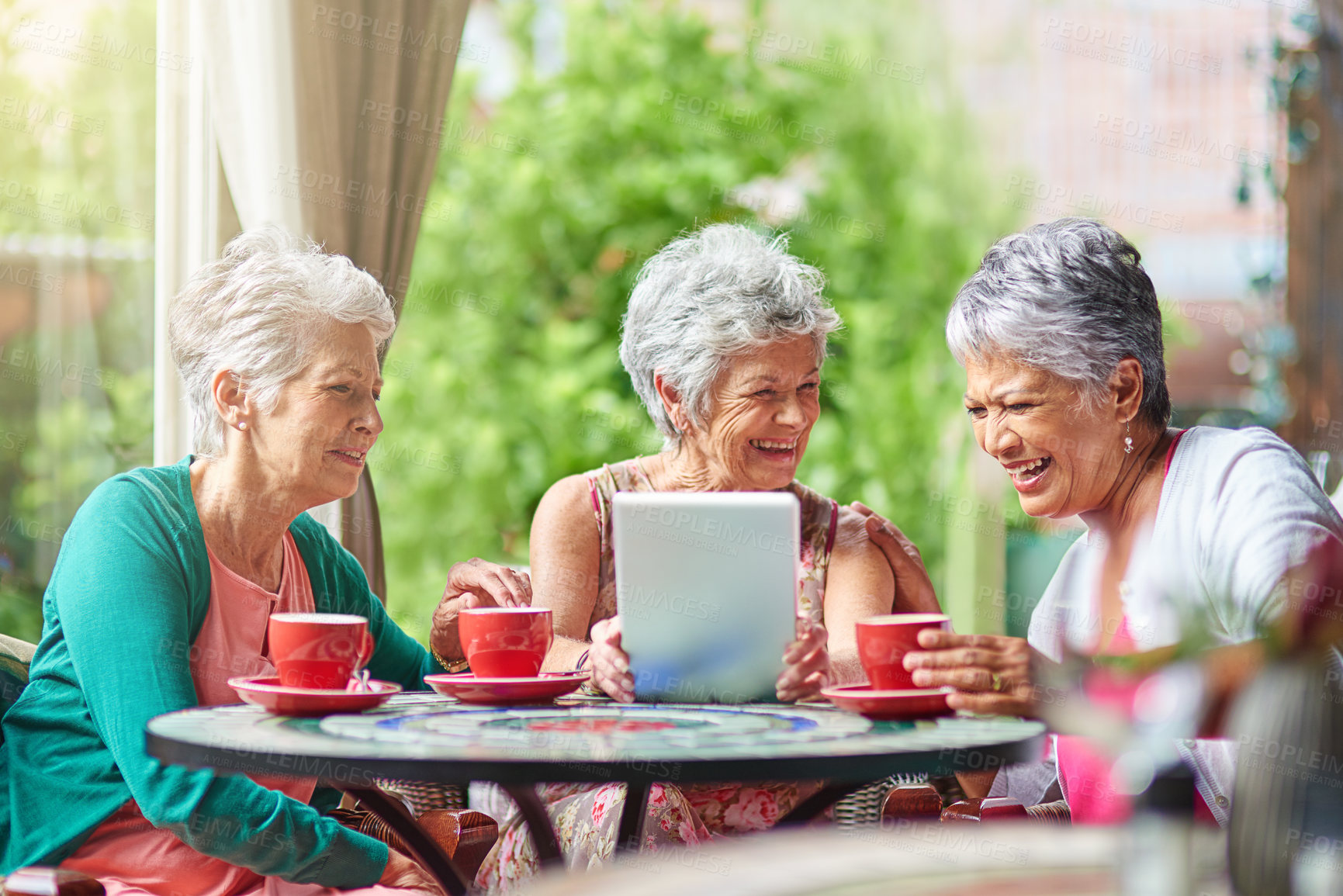 Buy stock photo Cropped shot of a group of senior female friends enjoying a lunch date