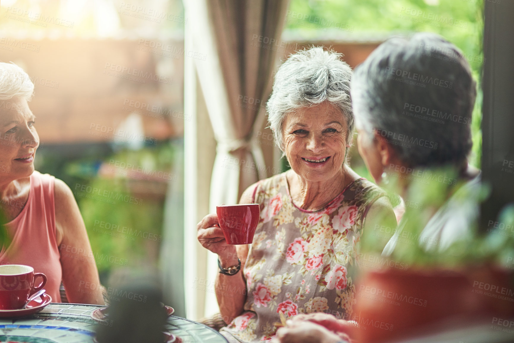 Buy stock photo Cropped shot of a group of senior female friends enjoying a lunch date