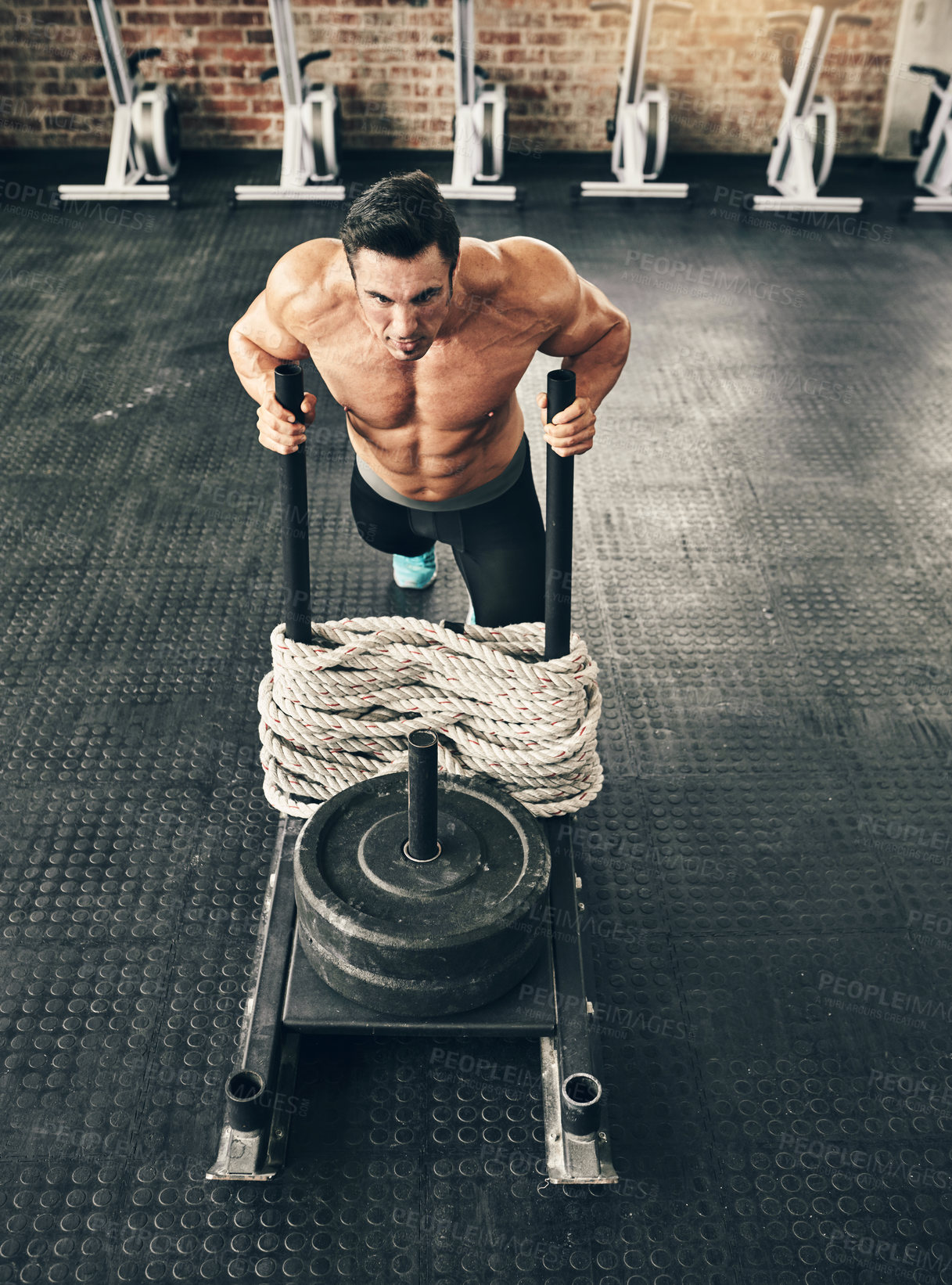 Buy stock photo Man, sled and exercise in gym for workout, fitness and muscle growth, agility and power with rope. Body builder, weights and training in sports club for strength, health and speed with resilience