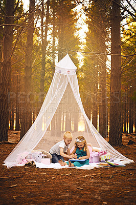 Buy stock photo Shot of a happy little boy and girl drawing in a book while sitting on a blanket outside in the woods