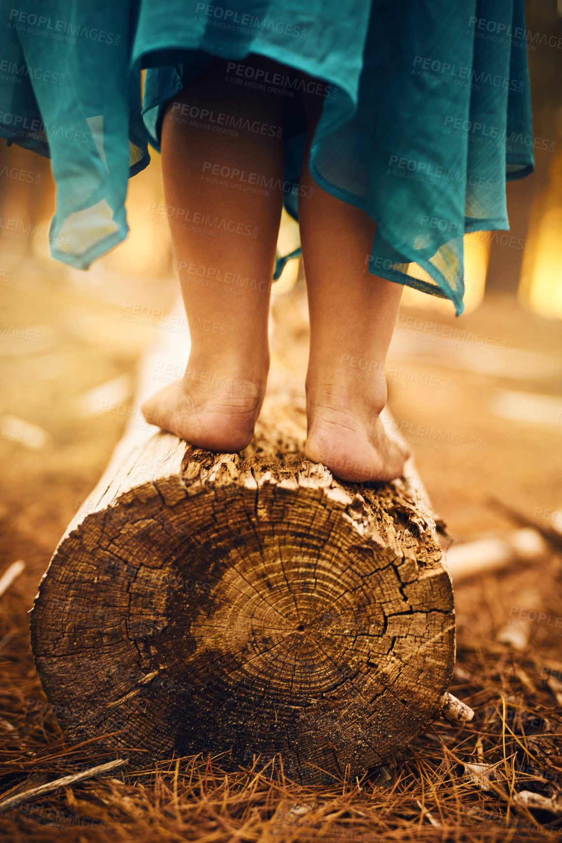 Buy stock photo Shot of an unrecognizable child's feet standing and balancing on a piece of wood outside in the woods