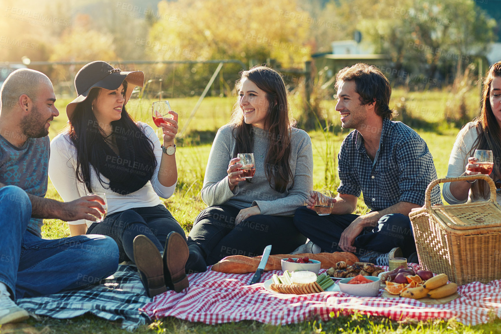 Buy stock photo Shot of a group of friends having a picnic together outdoors
