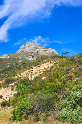 Buy stock photo Landscape view of Lions Head mountain in Cape Town, South Africa. Blue sky, clouds over famous hiking, trekking terrain with lush growing plants in remote area. Travel and tourism abroad and overseas
