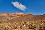 Cedarberg Wilderness Area  - South Africa