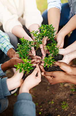 Buy stock photo Teamwork, hands and group with plants for sustainability, eco friendly or ecology. Collaboration, people and leaves in nature, growth in soil or cooperation for earth day, community together and care