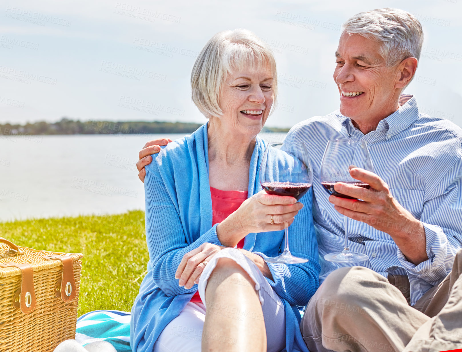 Buy stock photo Shot of a happy senior couple having a picnic together outside and toasting with wine