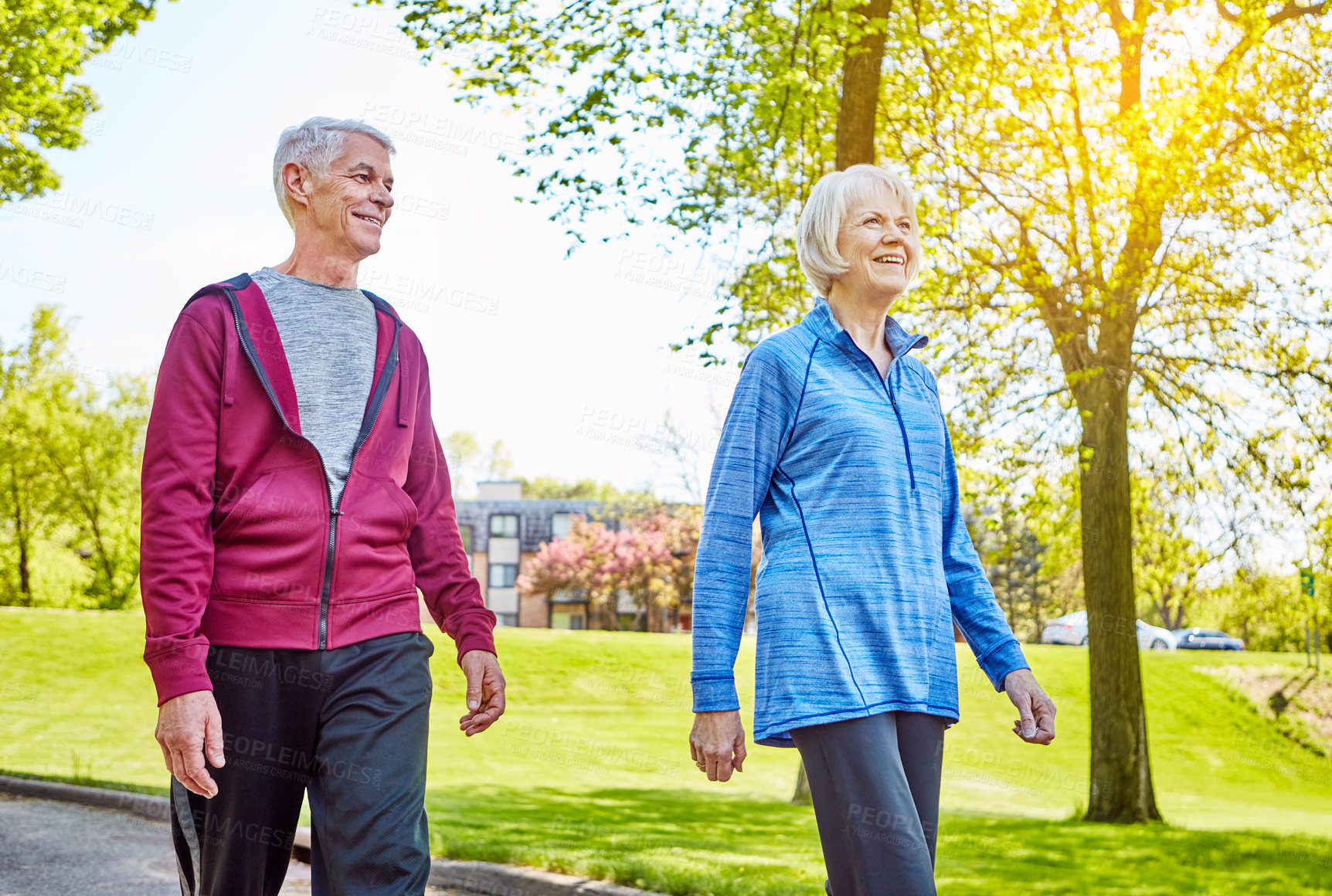 Buy stock photo Cropped shot of an affectionate senior couple taking a walk in the park during the summer