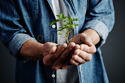 Buy stock photo Studio shot of an unrecognizable man holding a budding plant against a dark background