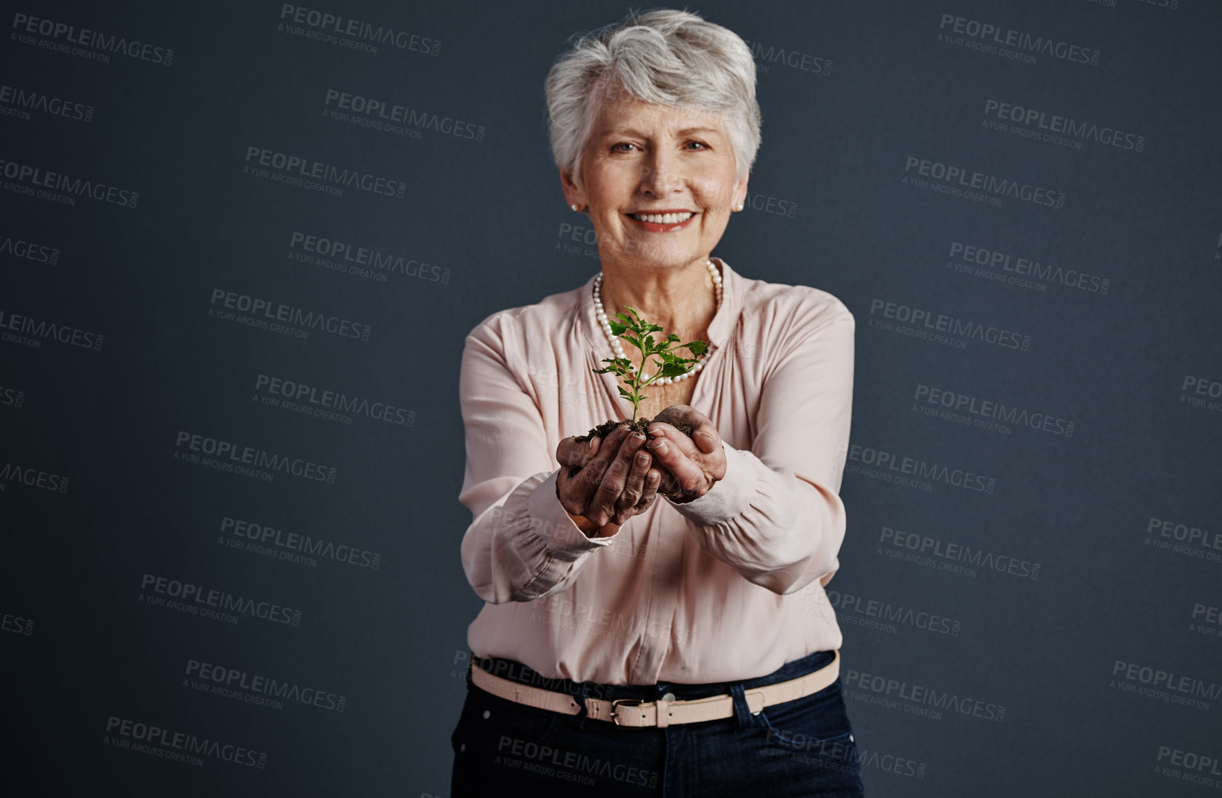 Buy stock photo Studio shot of a cheerful elderly woman standing with a plant in her hands while looking into the camera