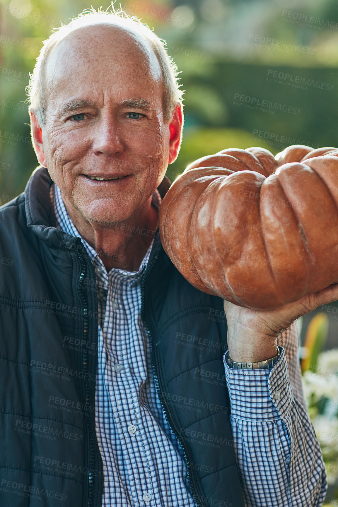 Buy stock photo Portrait, pumpkin and thanksgiving with old man outdoor in garden for celebration or festive event. Face, happy and vegetable with senior person in USA for July holiday or tradition in autumn season