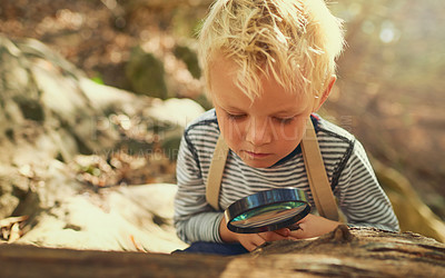 Buy stock photo Shot of an inquisitive little boy exploring the woods with a magnifying glass
