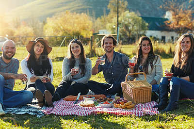Buy stock photo Portrait of a group of friends having a picnic together outdoors