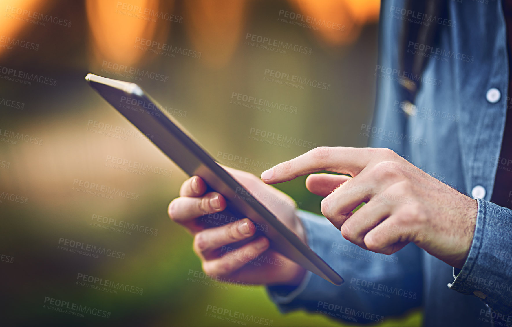 Buy stock photo Future, hands and tablet with person in forest to research plant species for sustainability. App, internet and planning with activist volunteer outdoor for conservation or protection of planet earth