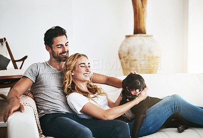 Buy stock photo Shot of a couple and their pet relaxing at home