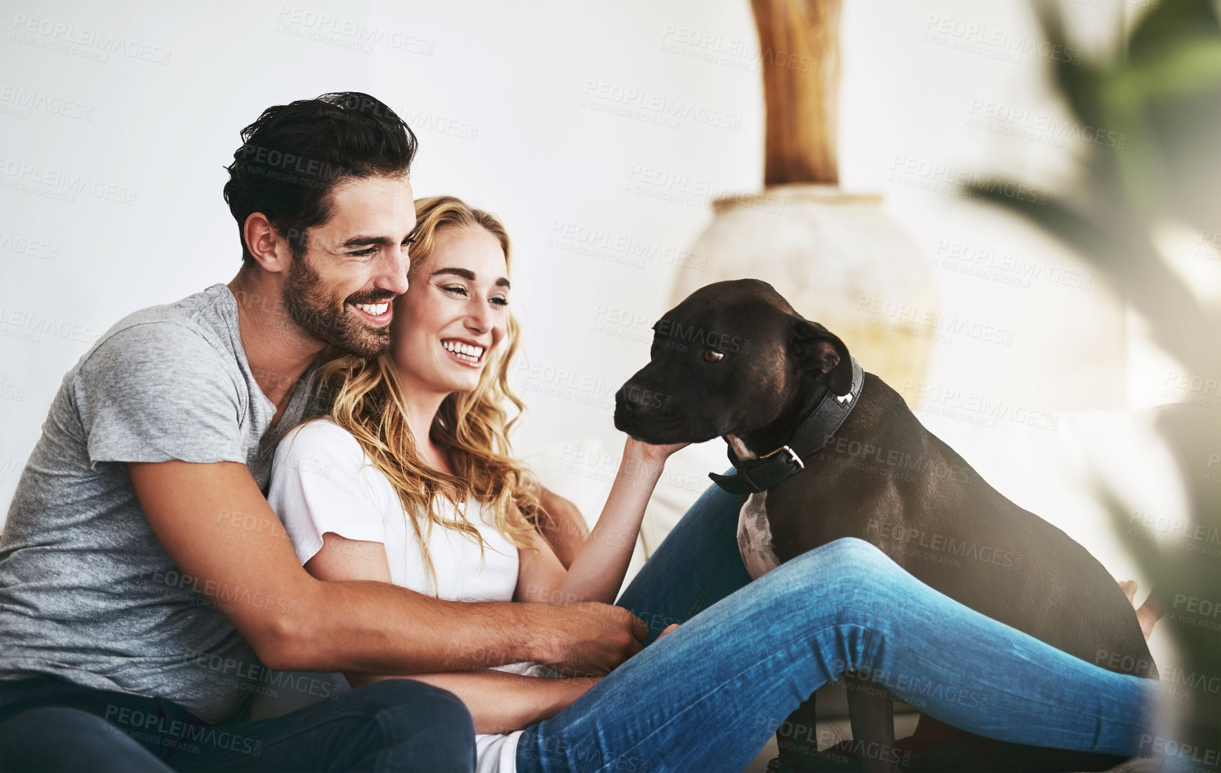 Buy stock photo Love, relax or happy couple with a pet on house sofa bonding or hugging with trust or loyalty together. Dog, animal lovers or woman enjoys playing with smile or cute pitbull puppy with care on couch