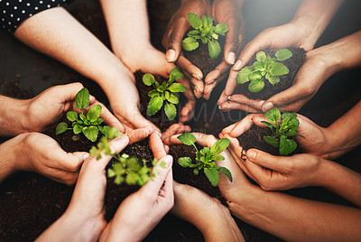 Buy stock photo Hands together, plants soil and ecology growth with sustainability and community work. People, green leaf and environment project for gardening, farming and sustainable eco dirt for agriculture