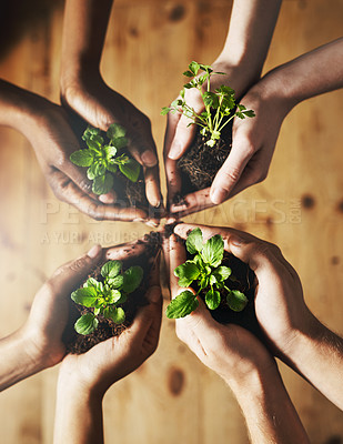 Buy stock photo People, top and plant for ecology with hands, earth day with support for environment and natural resources. Agriculture, eco friendly and green energy for sustainability, collaboration and growth
