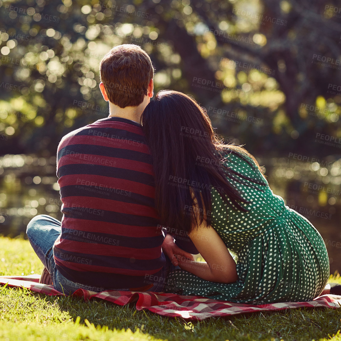 Buy stock photo Rearview shot of an affectionate young couple having a romantic picnic in the park