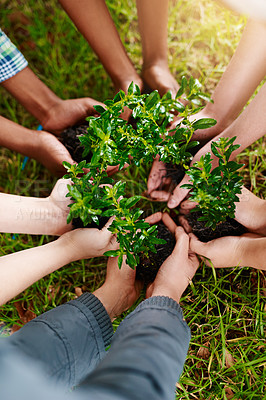 Buy stock photo Plants, gardening and the hands of people outdoor, planting green growth in soil for sustainability or conservation. Nature, spring and earth day with a team working as an eco friendly community