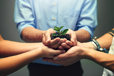 Buy stock photo Group, hands and nature of plant, growth and team with support, sustainability and leaves with soil. Collaboration, carbon capture and community of business people, palms and development in company