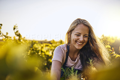 Buy stock photo Shot of a young woman tending to her crops on a farm