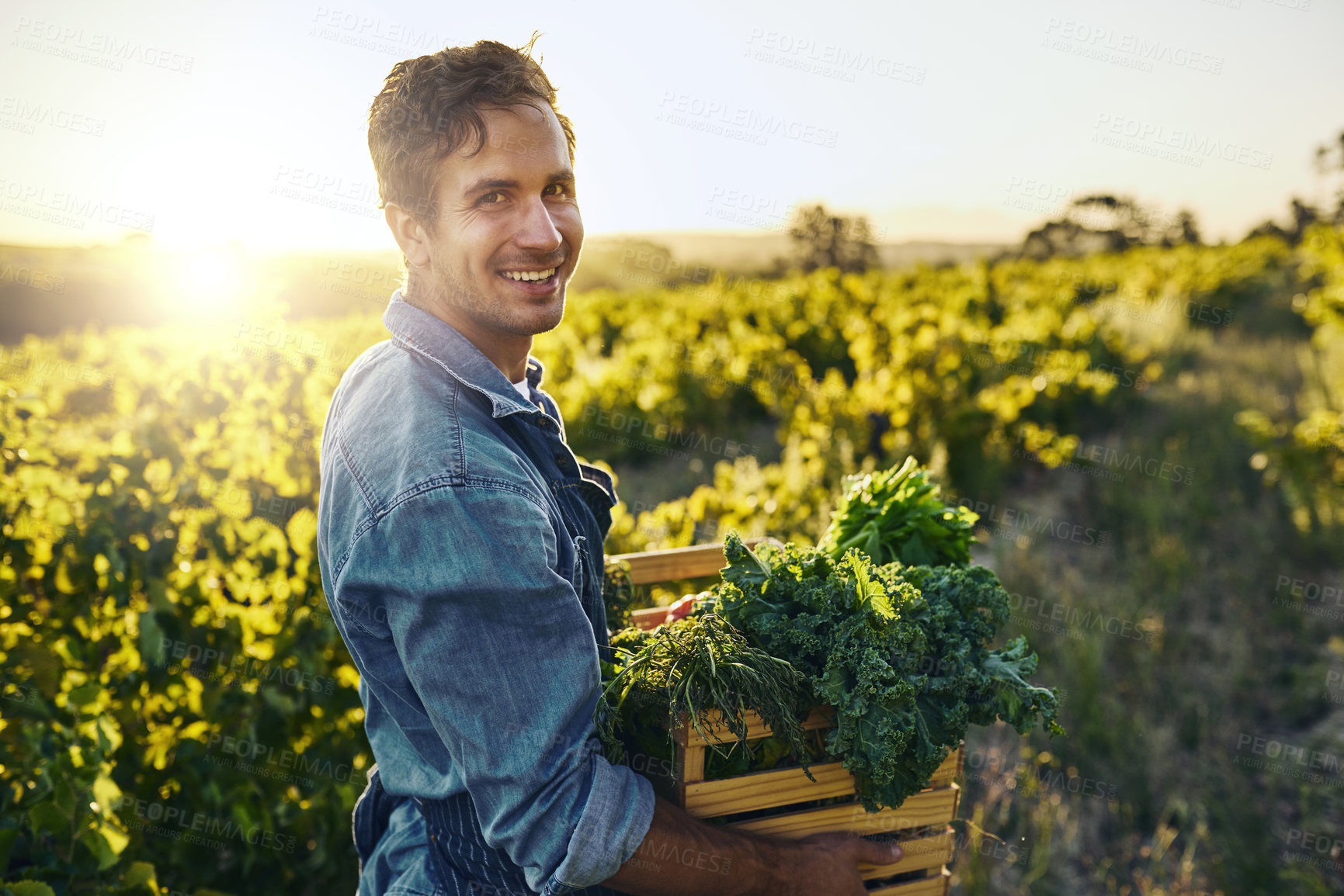 Buy stock photo Farmer, man and vegetables box with harvest, growth and agriculture or sustainable business in Europe Spain. Food supplier in portrait by field or land for farming with produce or crops in basket