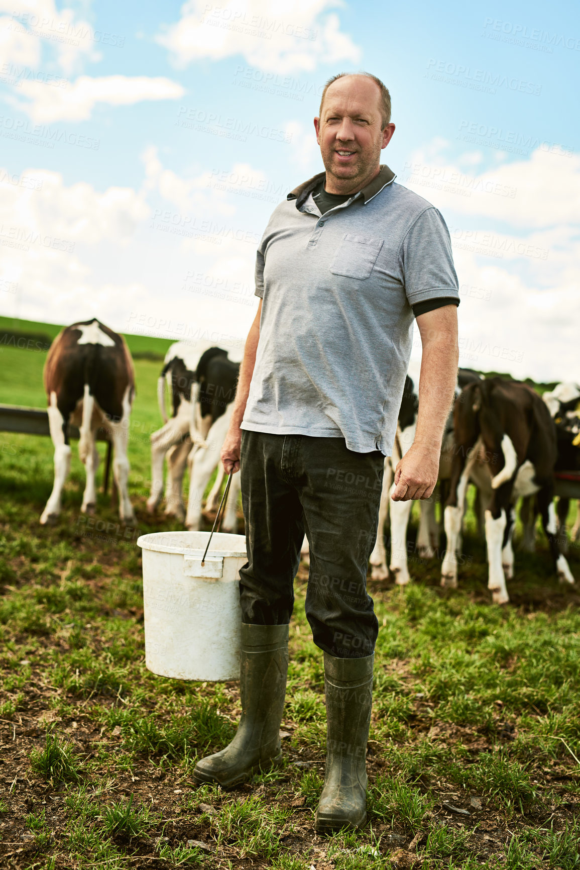 Buy stock photo Cow, farm or farmer face in nature for livestock, feed or small business startup, production or eco supply chain. Agriculture, sustainability or worker with animals in countryside for industry growth