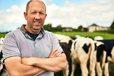 Buy stock photo Cow, farm or portrait of man farmer  with arms crossed in nature for livestock, business or supply chain startup. Agriculture, sustainability or worker with animals in countryside for carbon capture