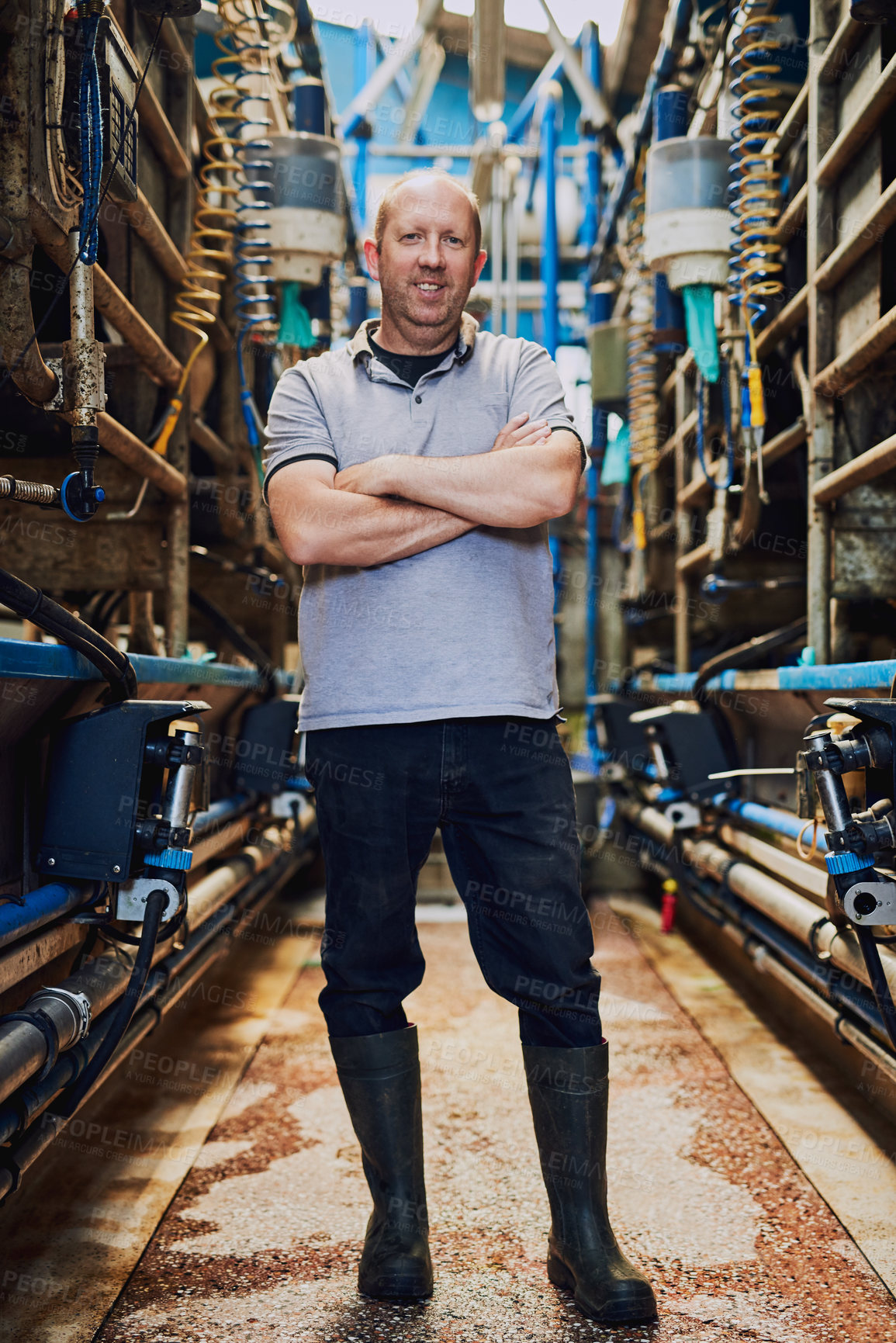 Buy stock photo Portrait, farmer and man with arms crossed, diary farm and industry with agriculture. Face, person or small business owner with confidence, pride or sustainability with machine, entrepreneur or smile