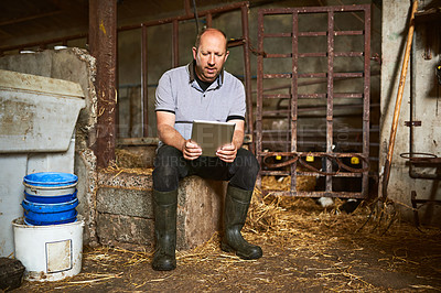 Buy stock photo Dairy farm, man or farmer with tablet for connection, herd management and track production of animals. Agriculture, business owner or online with digital for research, information or access resources