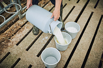 Buy stock photo Farm, hand and person with milk in bucket for process, food production or animal feed in barn. Health, farmer and cream in container for dairy product, manufacturing and sustainable small business