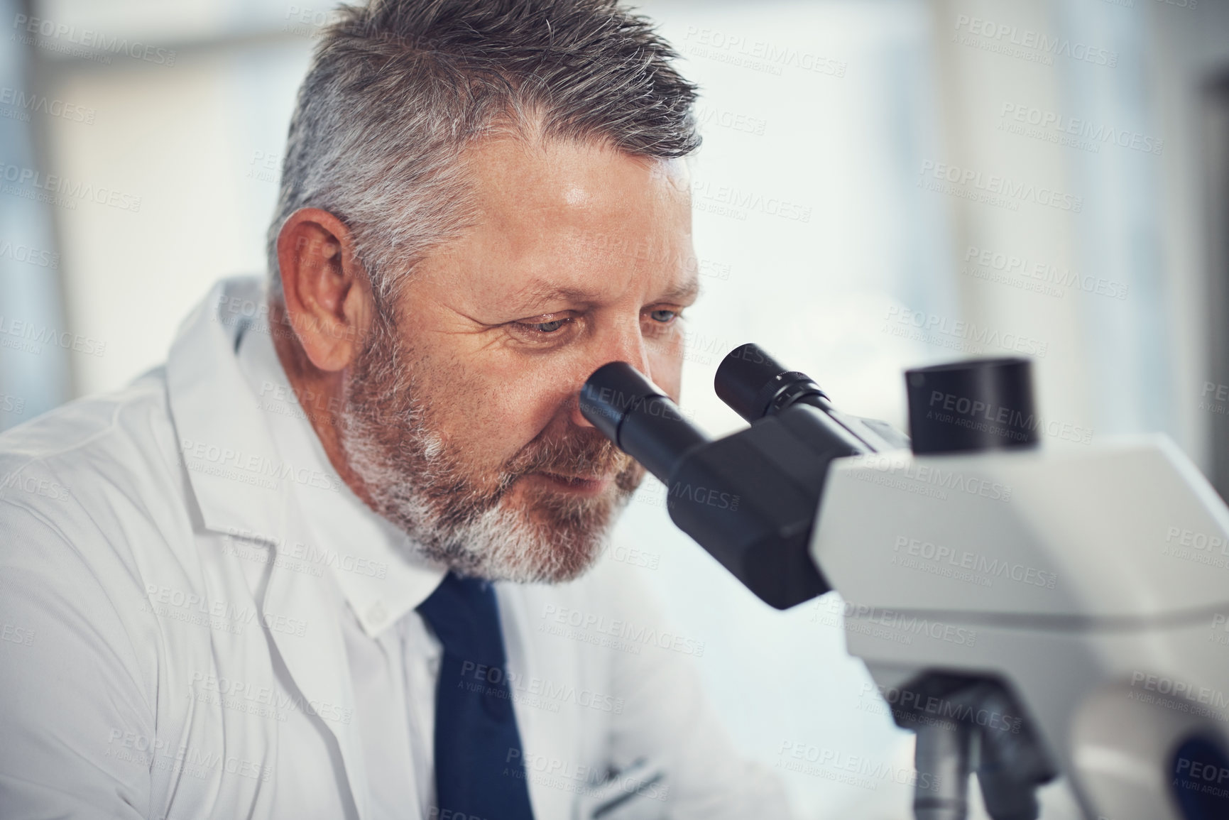 Buy stock photo Shot of a mature scientist using a microscope in a laboratory