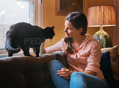 Buy stock photo Shot of an attractive young woman relaxing on the sofa at home and bonding with her cat