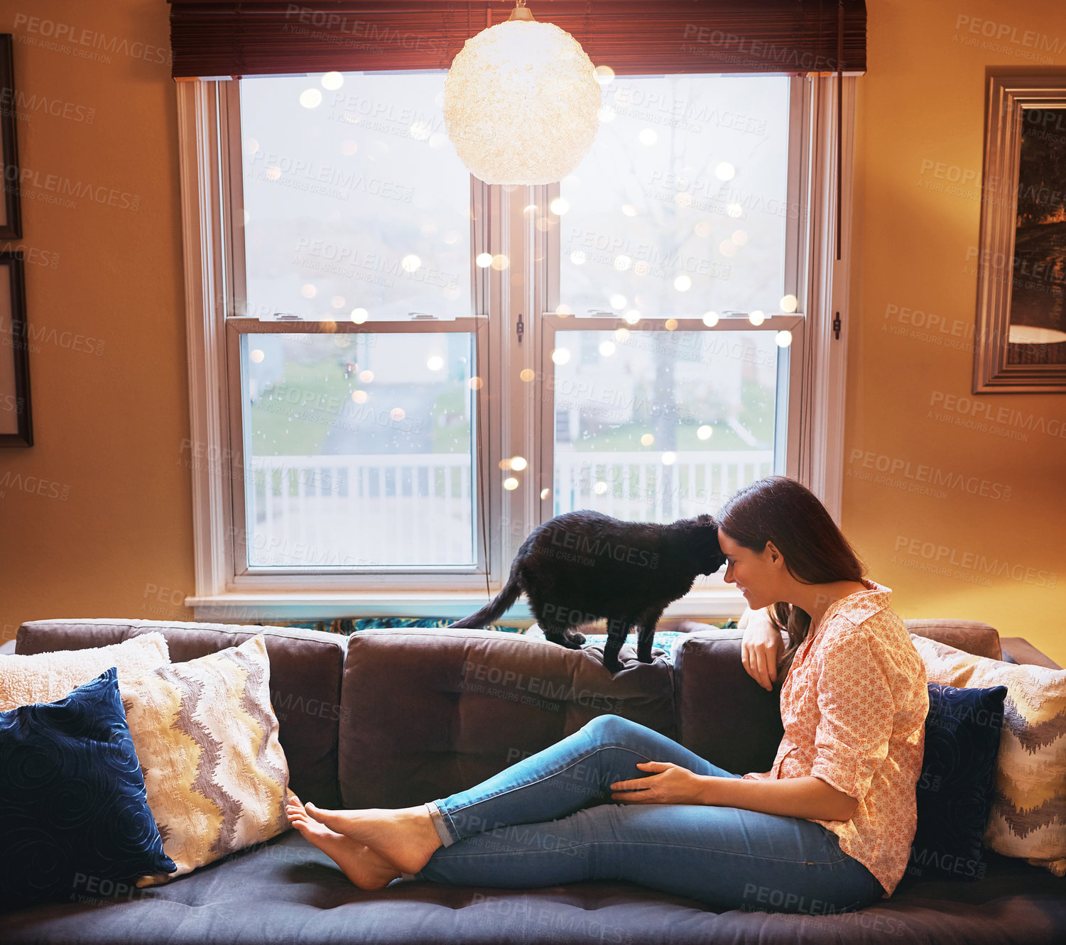 Buy stock photo Woman, cat and forehead touch for comfort in home, scratch and support animal or companion on couch. Female person, relax and peace in living room to stroke pet, trust and connection or loyalty