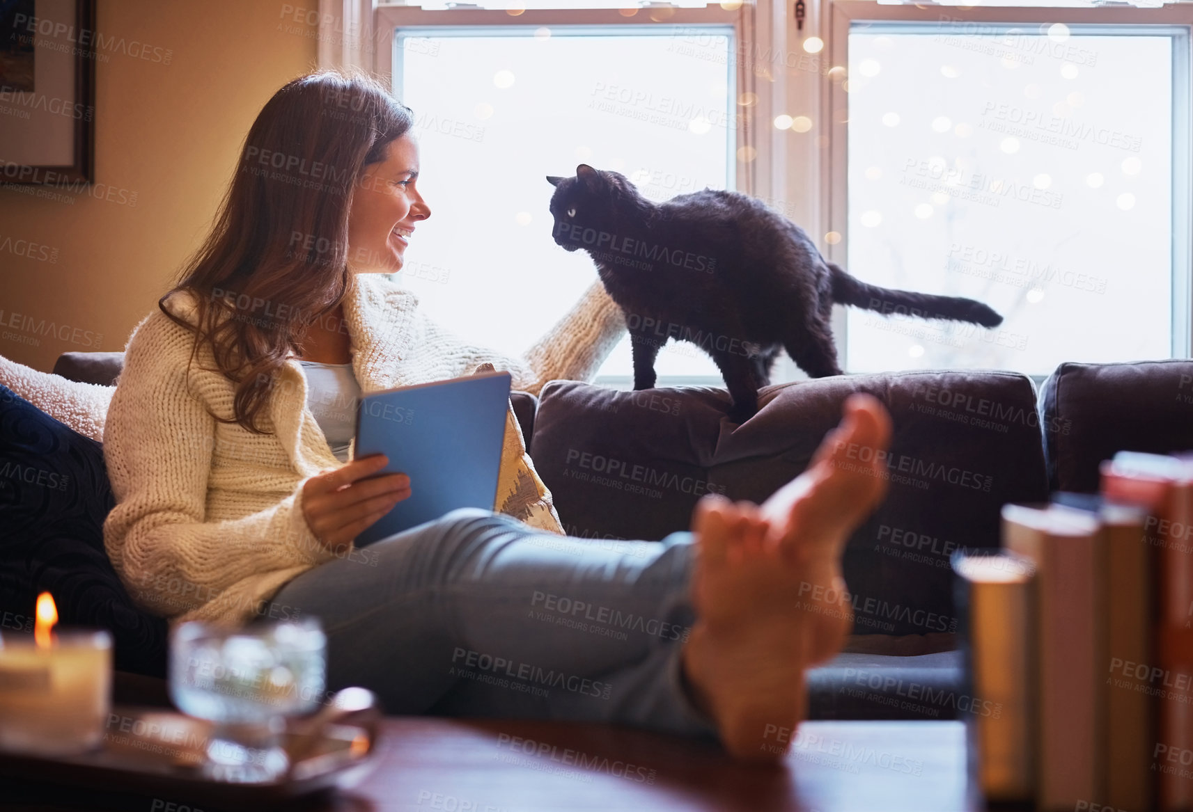 Buy stock photo Shot of an attractive young woman using a digital tablet on the sofa and affectionately stroking her cat