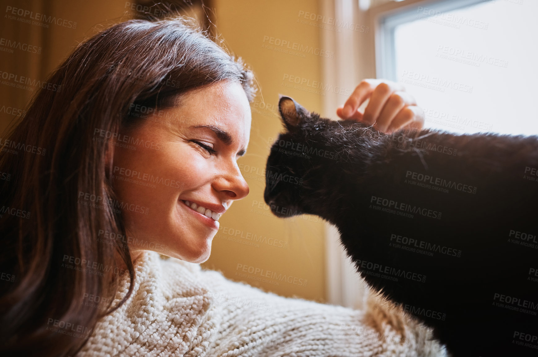 Buy stock photo Woman, cat and petting for peace in home, scratch and support animal or companion for love on sofa. Female person, relax and calm in living room to stroke pet, bonding and connection for loyalty