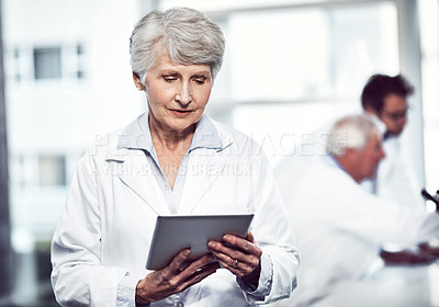 Buy stock photo Shot of a focused elderly female scientist holding and using a digital tablet while standing inside of a laboratory