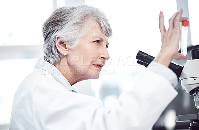 Buy stock photo Shot of a focused elderly female scientist holding up a test tube and examining it while being seated inside a laboratory